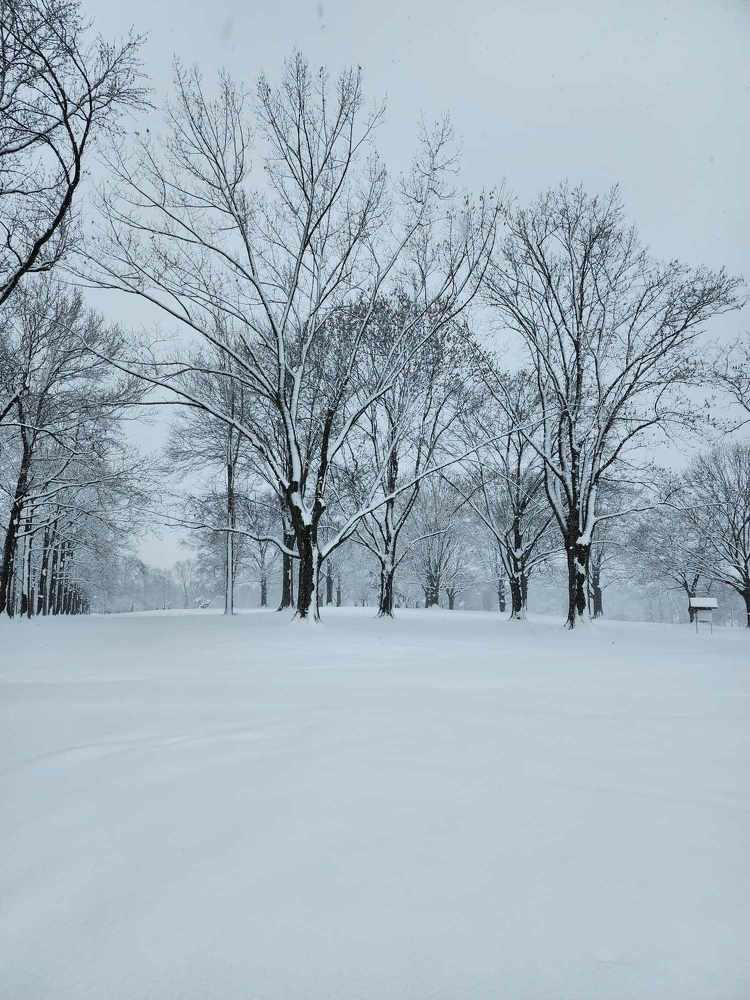 Фотография автора Adriana Rocha