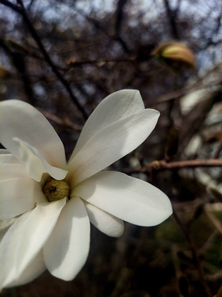 Фотография автора Adriana Rocha