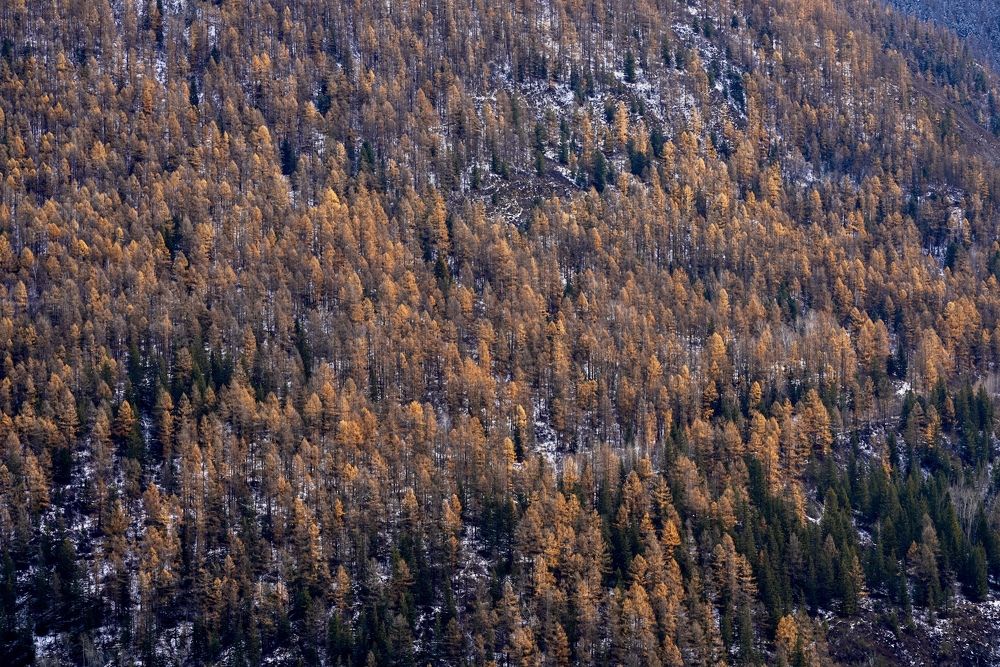 Photograph by Кузнецов Андрей