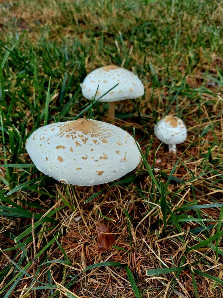 Фотография автора Adriana Rocha