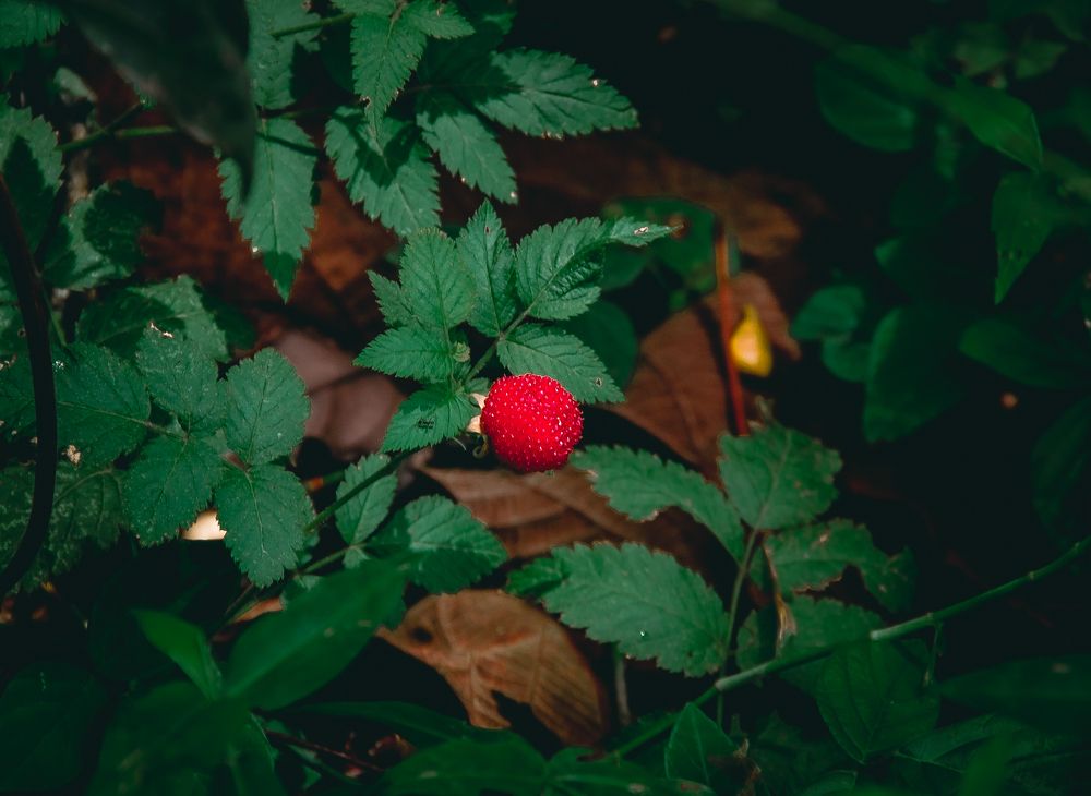 Photograph by Tina Domingos