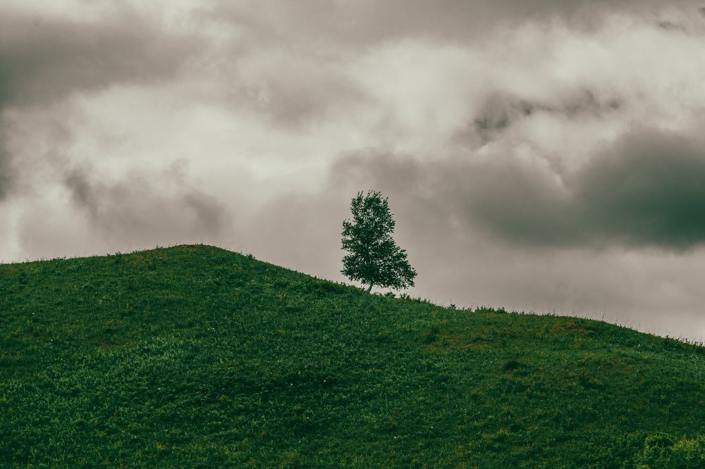 Photograph by Chen Chen