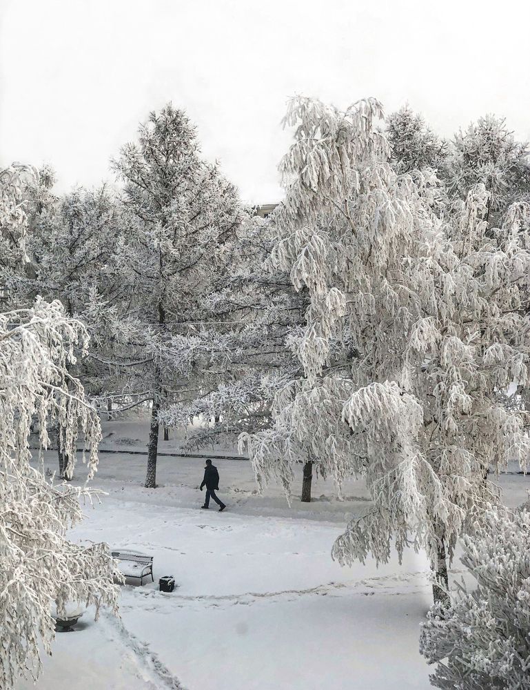 Фотография автора Светлана Гончарова