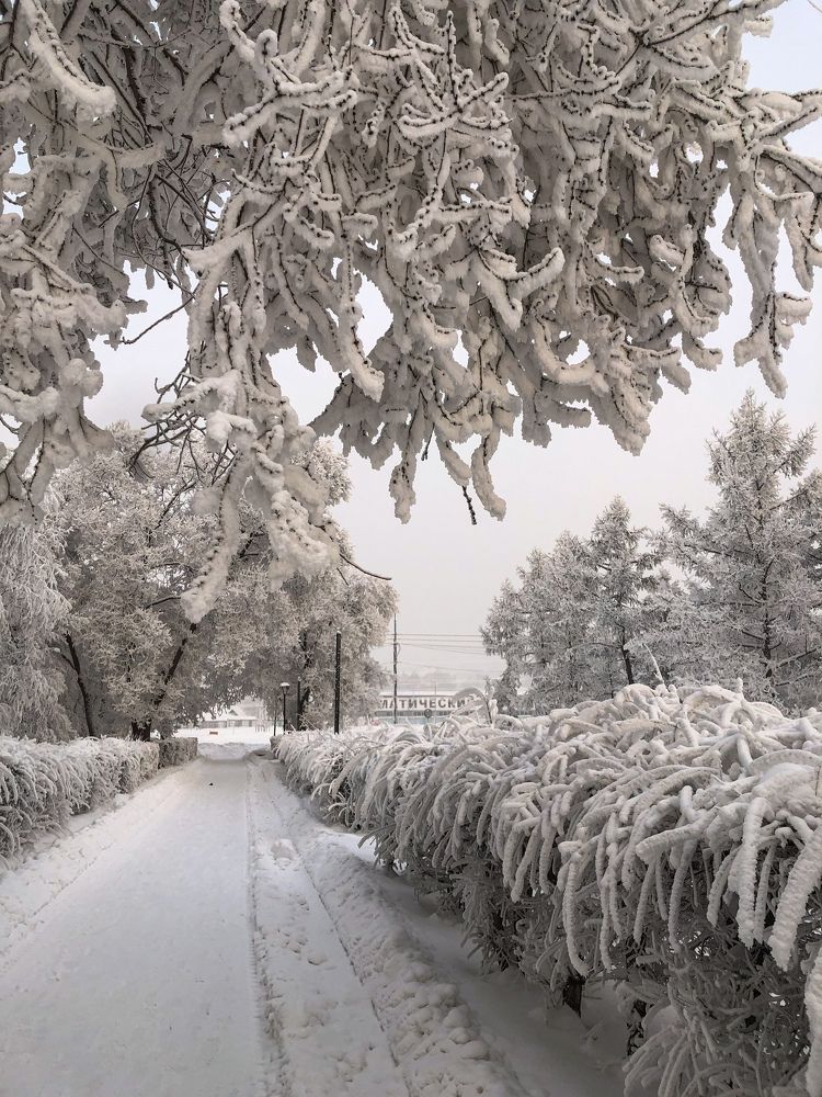 Фотография автора Светлана Гончарова