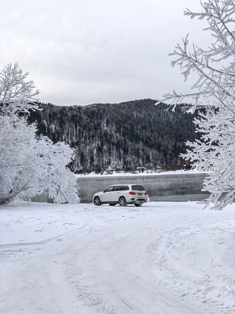 Фотография автора Светлана Гончарова
