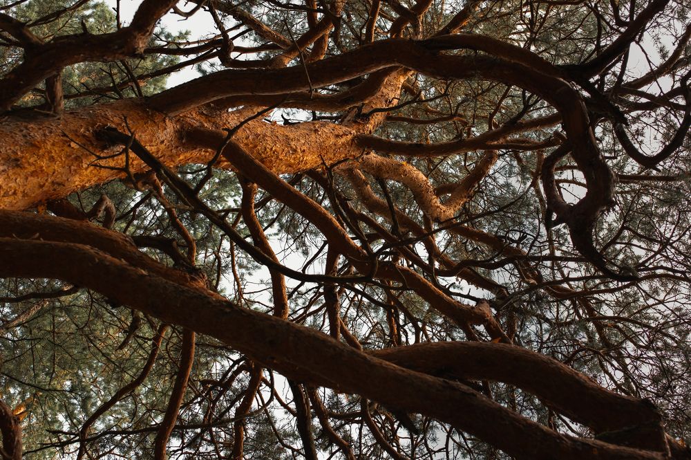 Фотография автора Станислав