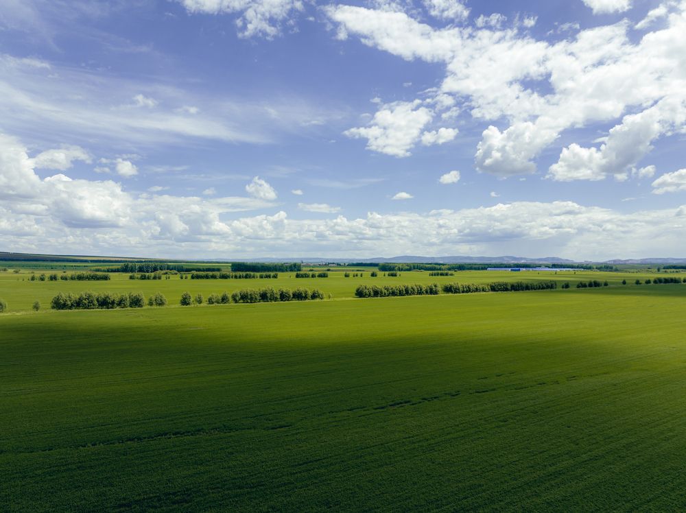 Photograph by Chen Chen