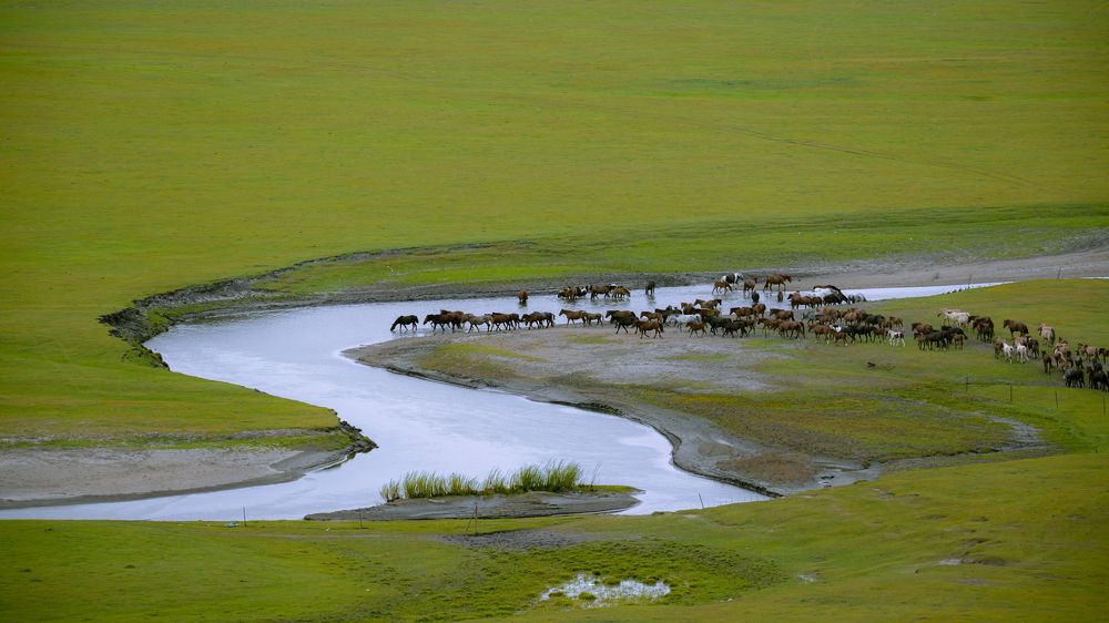 Photograph by Chen Chen