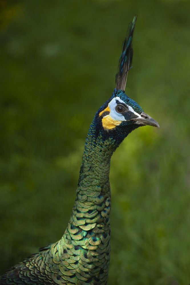 Фотография автора Galina Sa