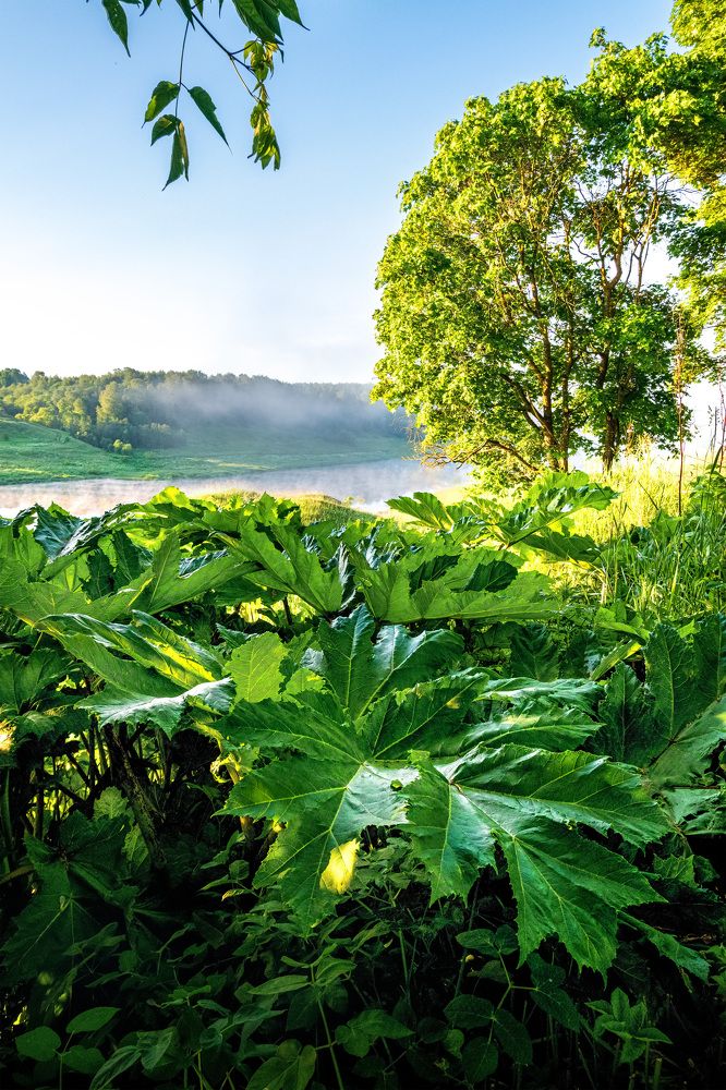 Photograph by Pavel Khrainikov