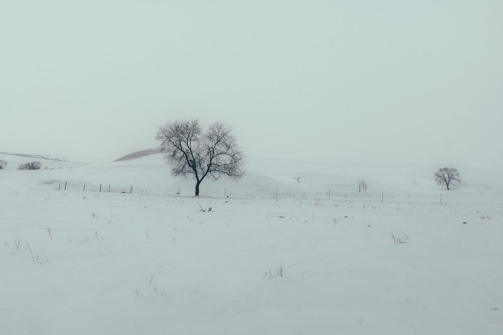 Photograph by Chen Chen