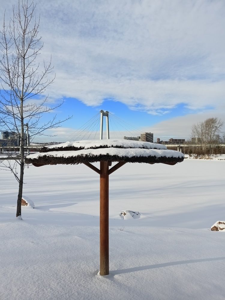 Photograph by Анастасия Горбачева