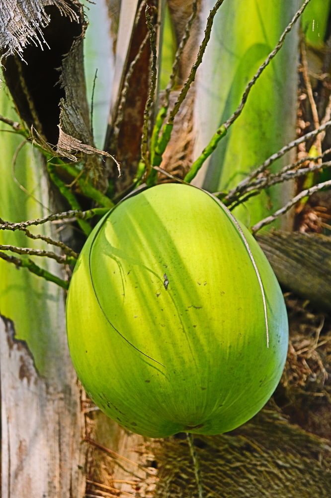 Photograph by Komang Mariono