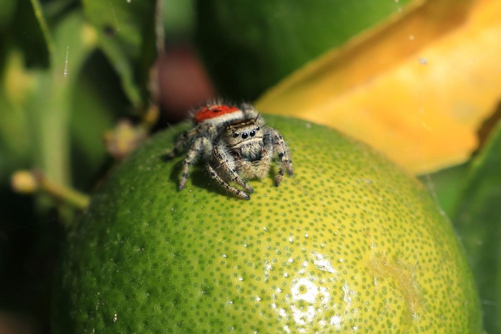 Photograph by Евгений Власов