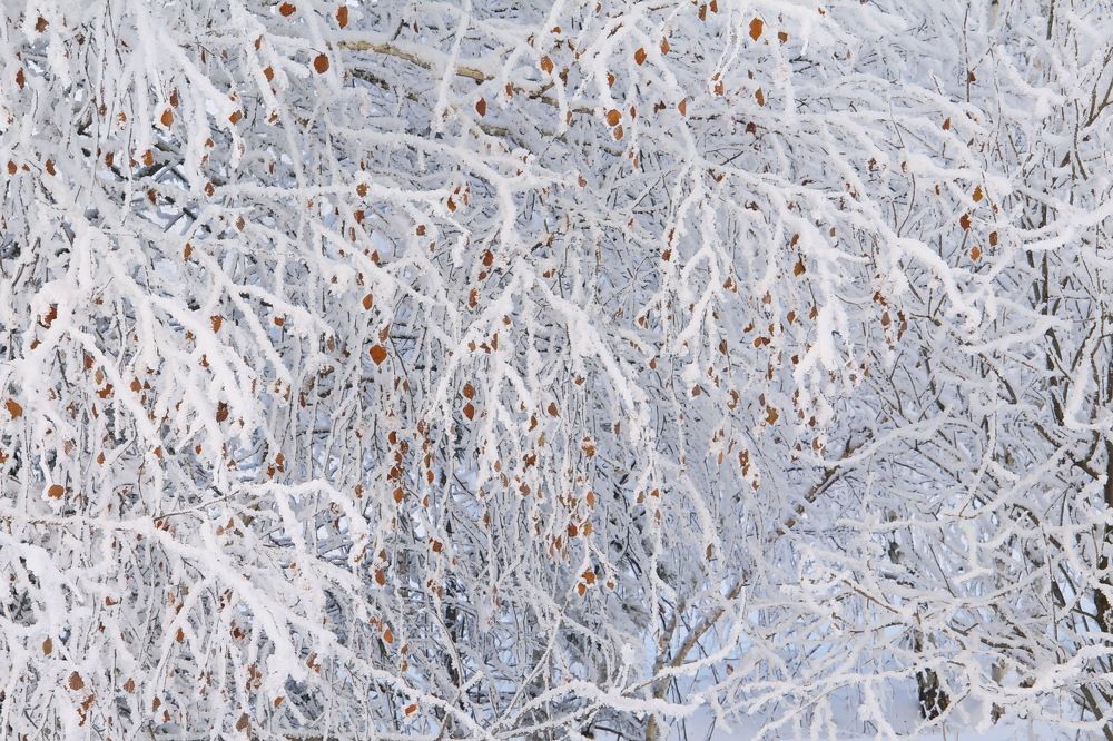 Photograph by Koledova Irina