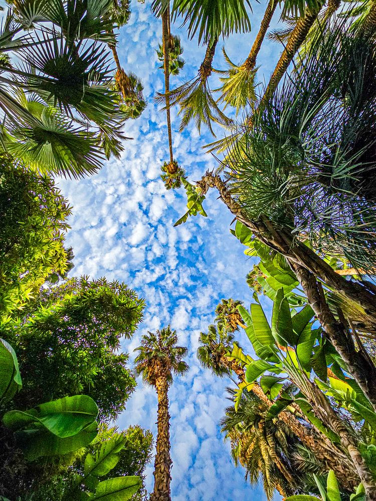 Photograph by Chic.chiquitita