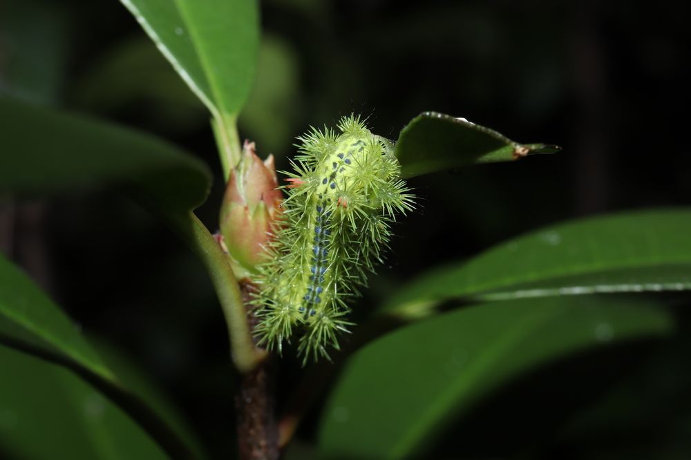 Photograph by Se Lena