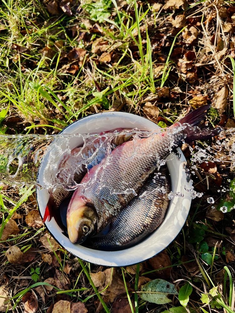 Водные процедуры