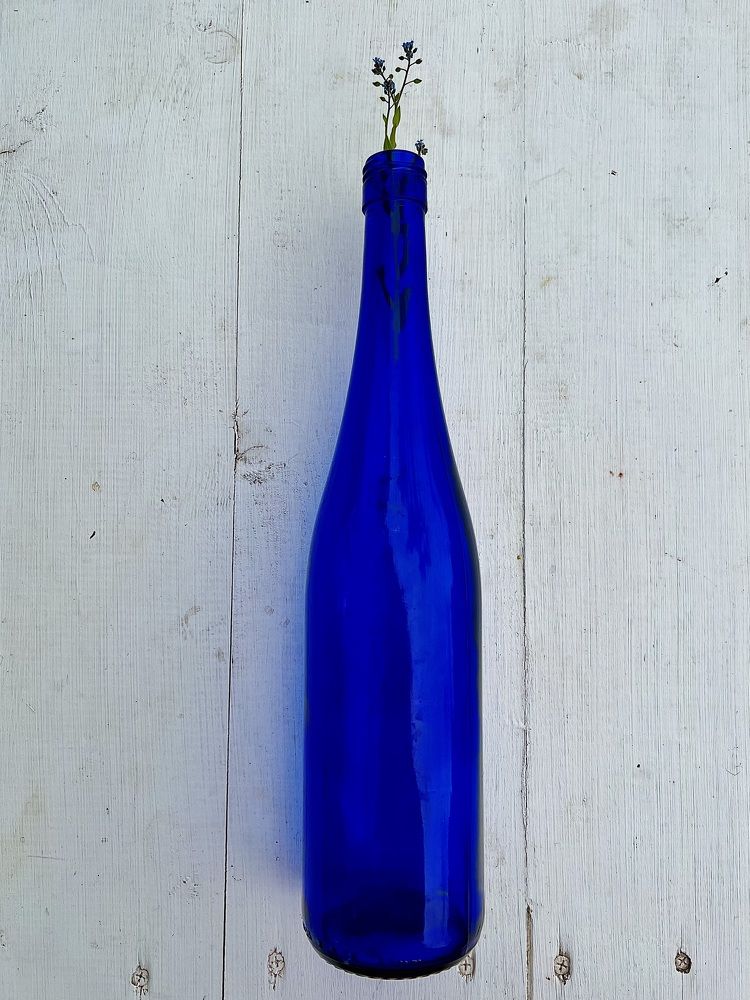 Фотография автора NATALYA OZHEGOVA