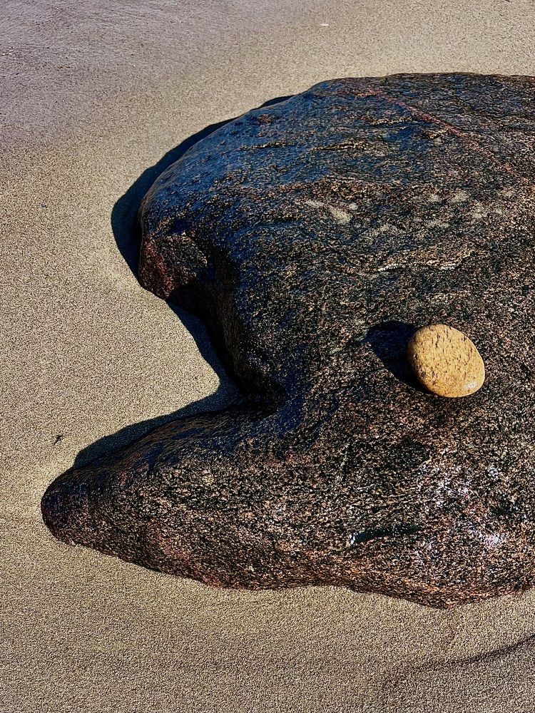 Фотография автора NATALYA OZHEGOVA