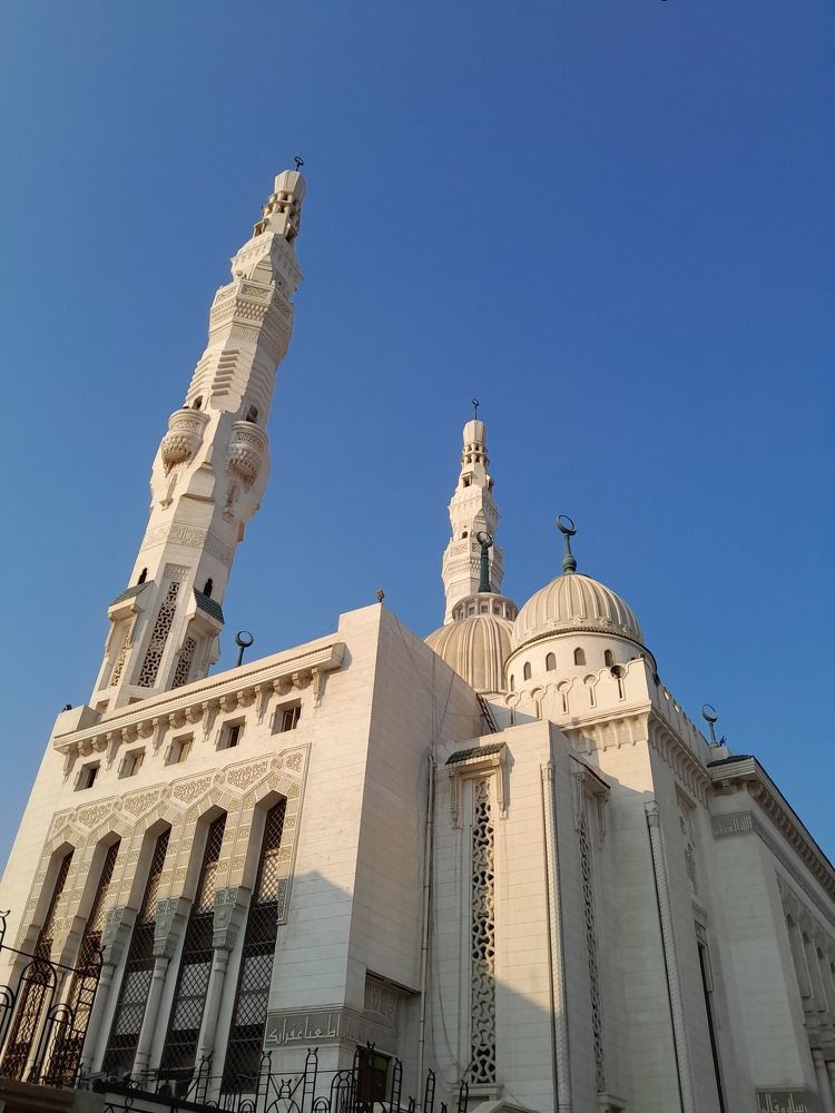 Photograph by mahmoud saeed