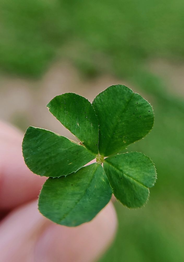 Photograph by Наталья Шумилова