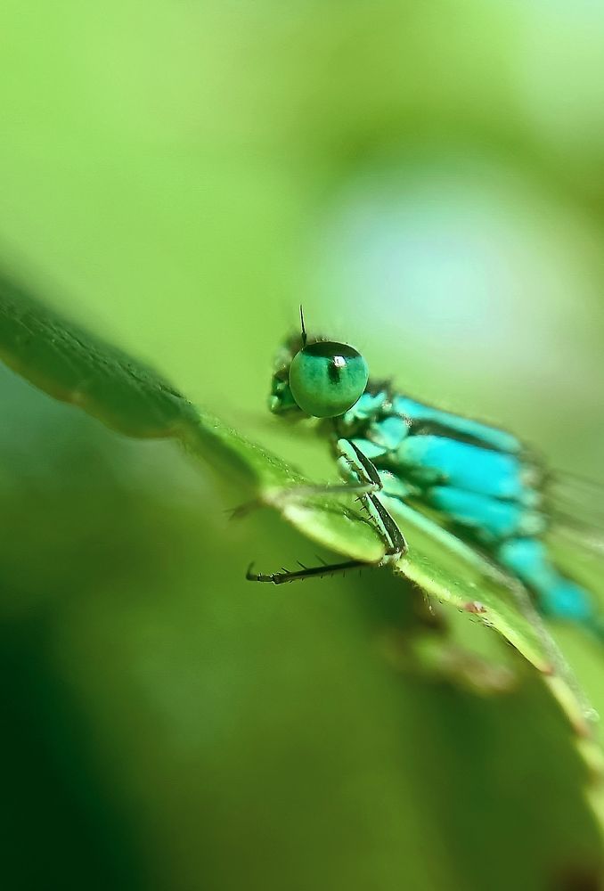 Photograph by Наталья Шумилова