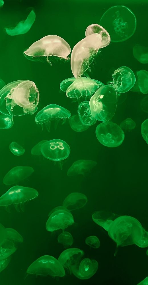 Photograph by Наталья Шумилова