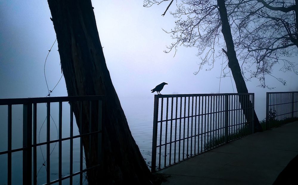 Photograph by SARAVANA MANICKAM