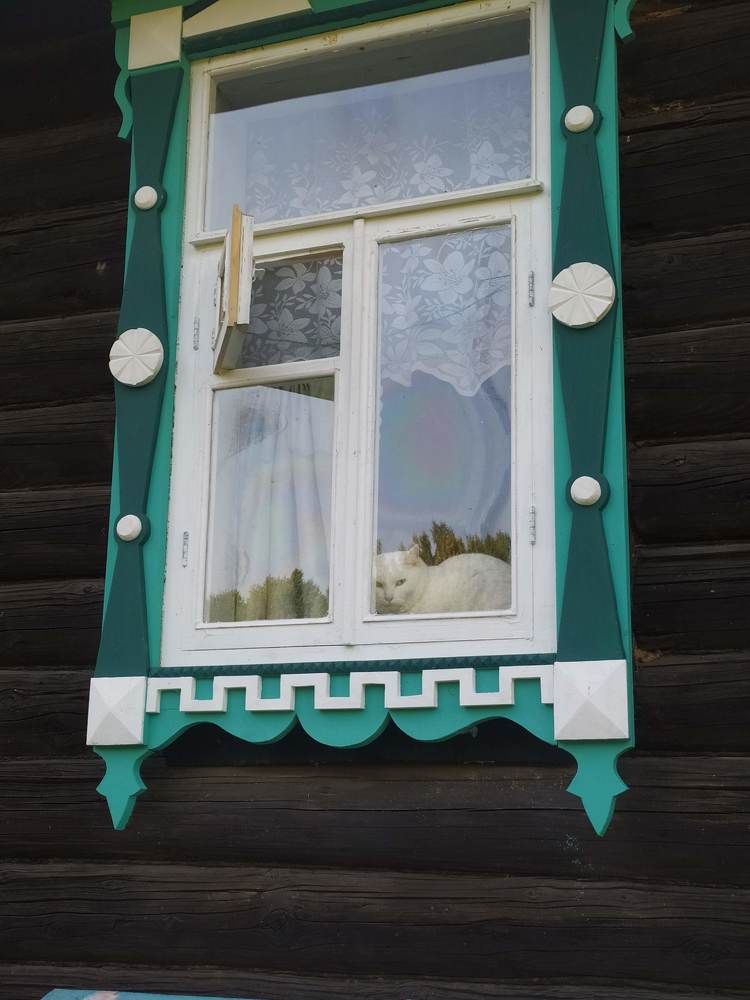 Фотография автора Дарья Петровская