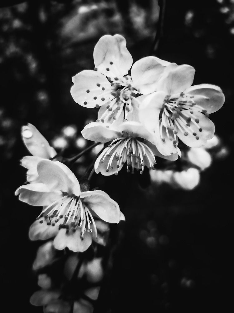 Photograph by Евгения Журавлева