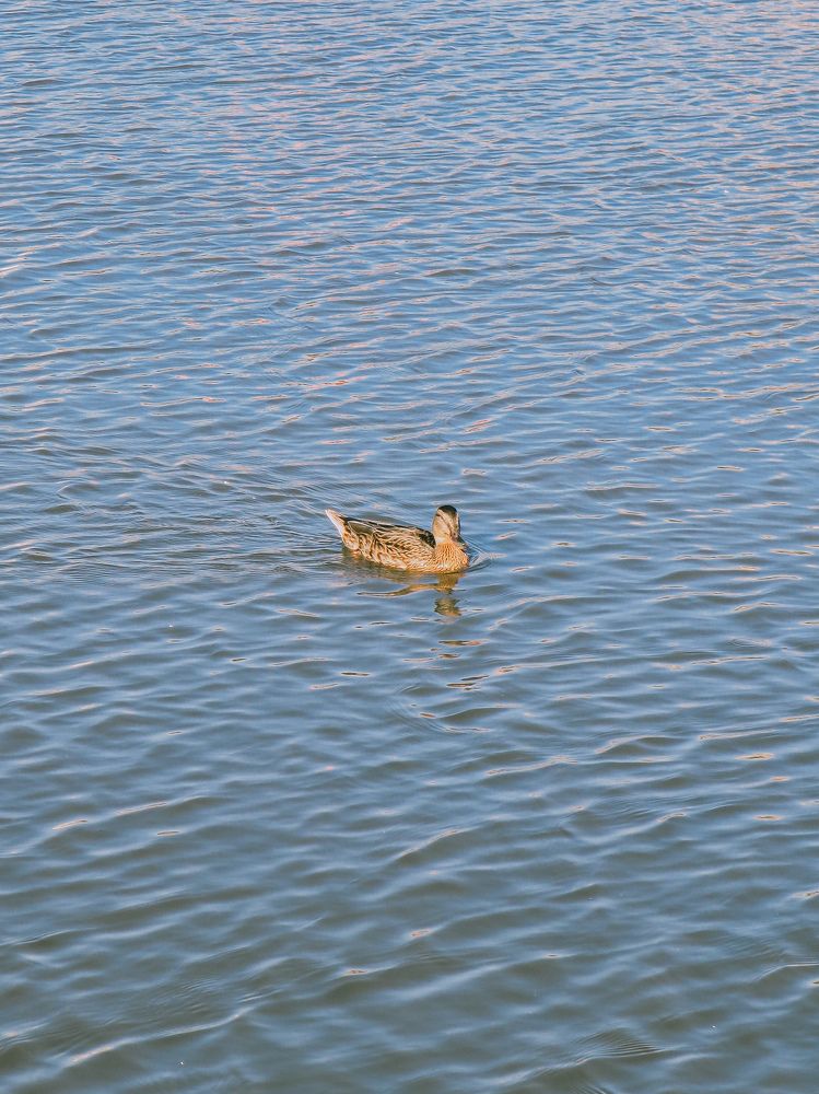 Photograph by Дарья Овсянникова