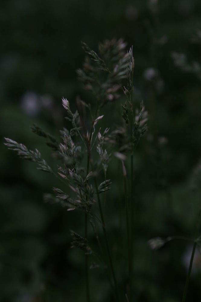 Photograph by Любовь Лунина