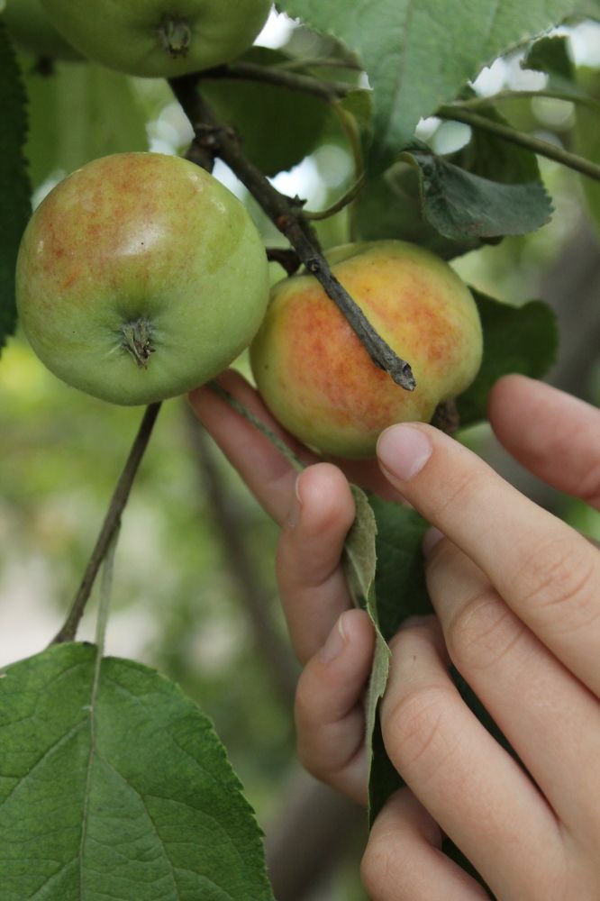 Photograph by Любовь Лунина