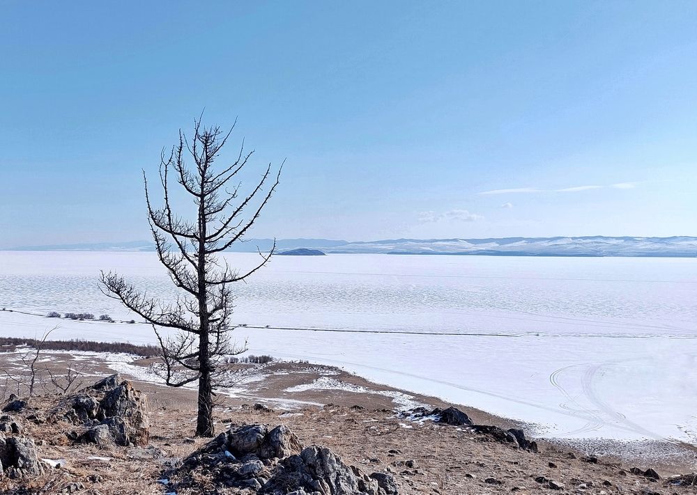 Photograph by Оксана Лоншакова