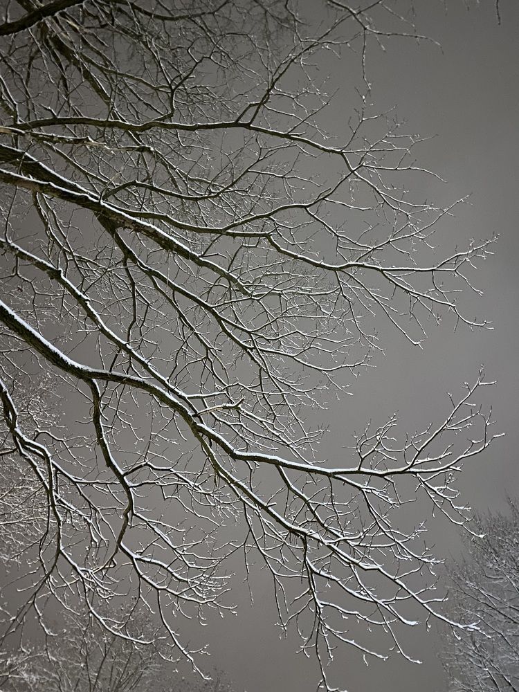 Photograph by Яна Лугинина