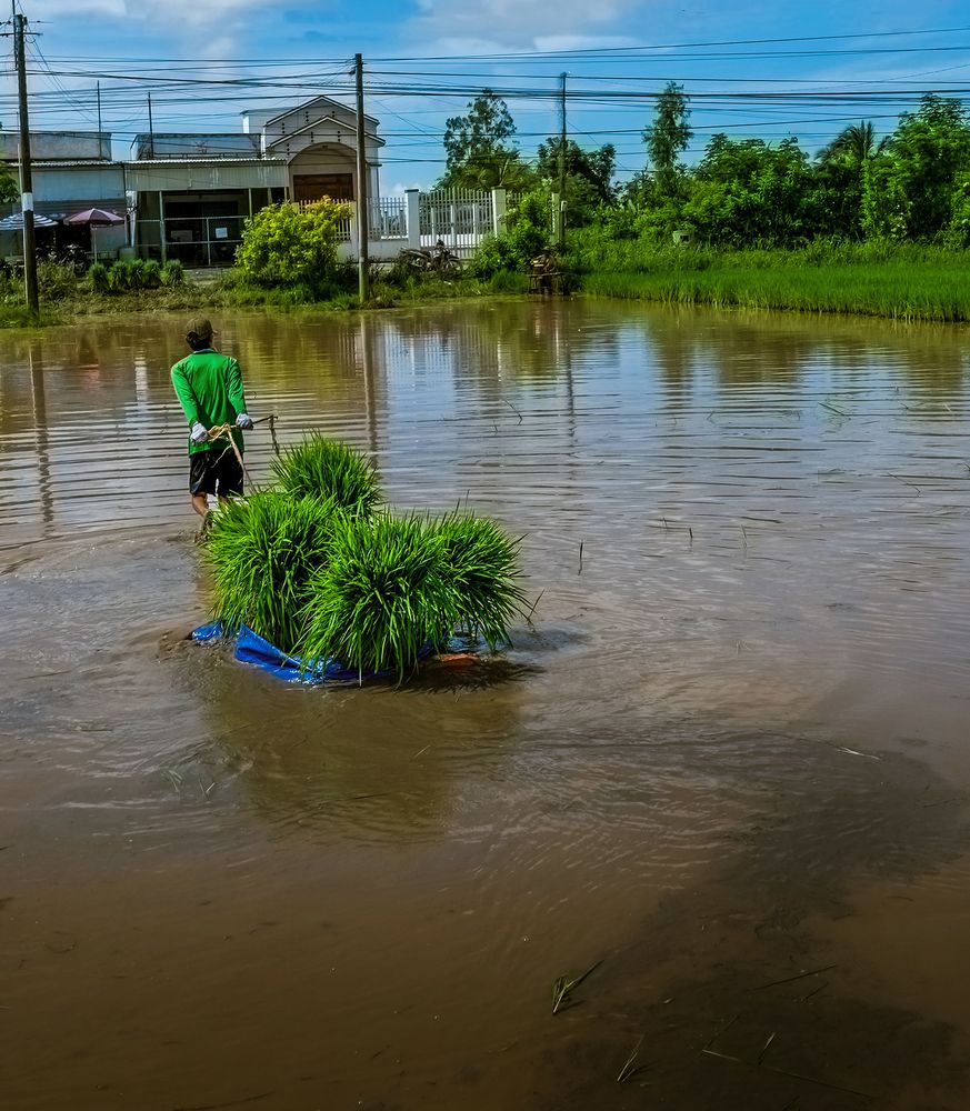 Photograph by Luong Kha