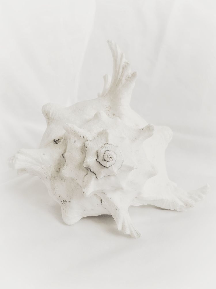 Photograph by Людмила Евстратова