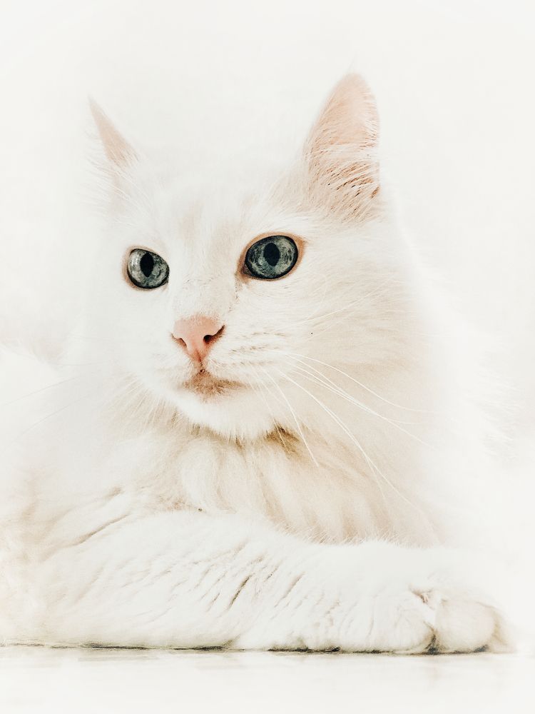 Photograph by Людмила Евстратова