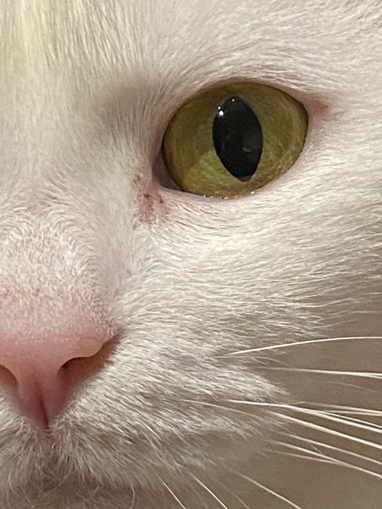 Photograph by Ольга Желтова