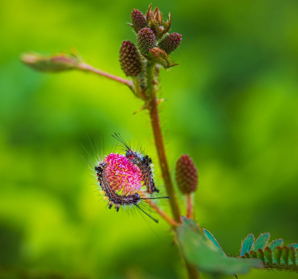 Photograph by Duc Nguyen