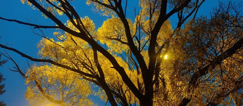 Photograph by Александр Кравченко