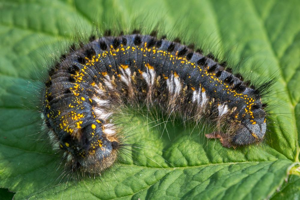 Photograph by Сергей Алексеев