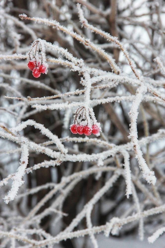 Photograph by Олеся