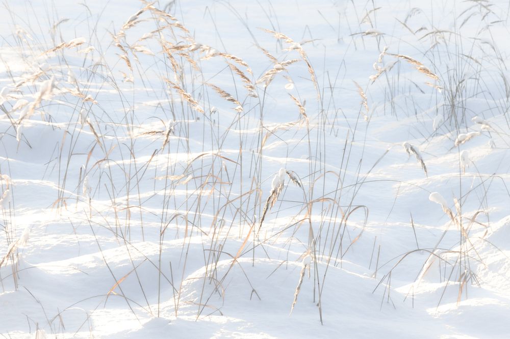 Photograph by Татьяна Романова