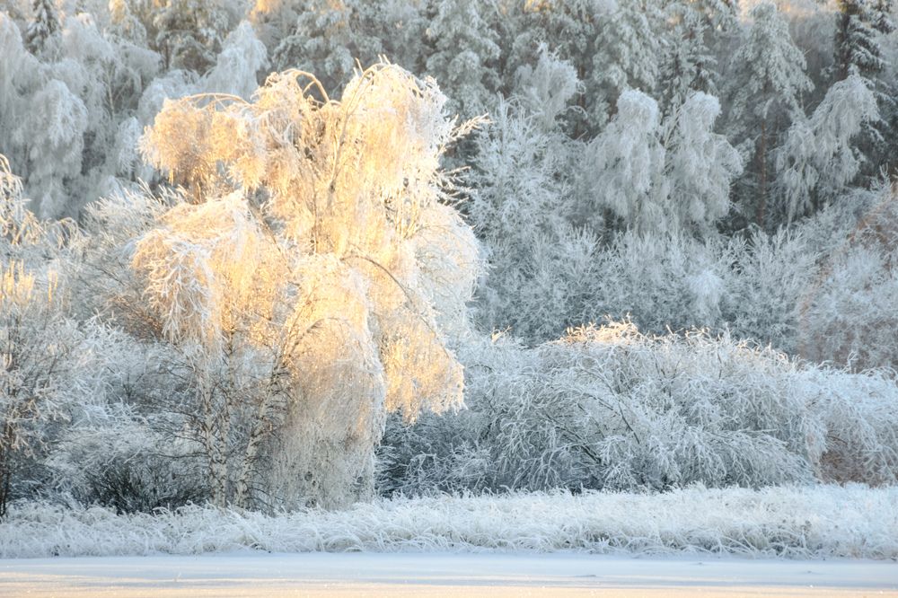 Photograph by Татьяна Романова