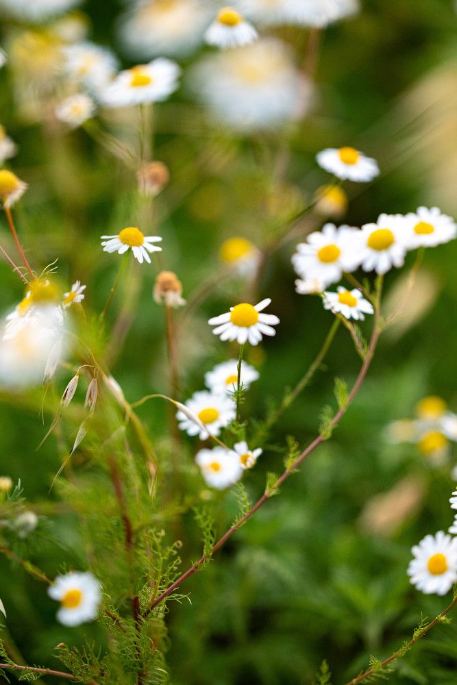 Photograph by Виктория Казановская