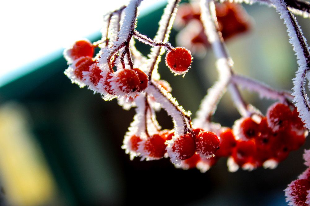 Photograph by Иван Крылов