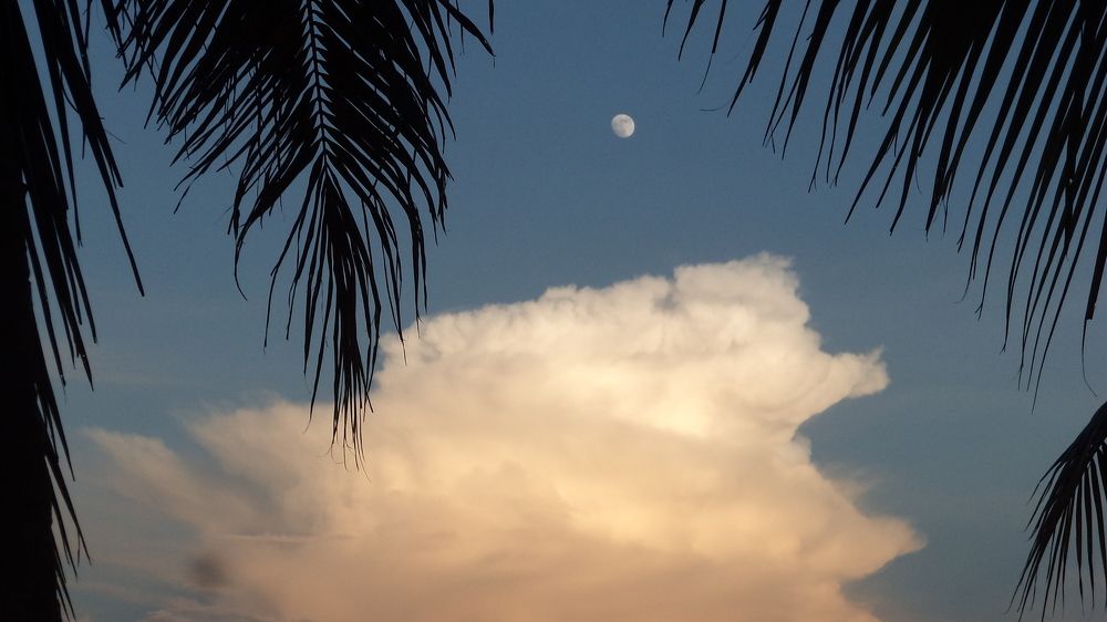 Photograph by Varun