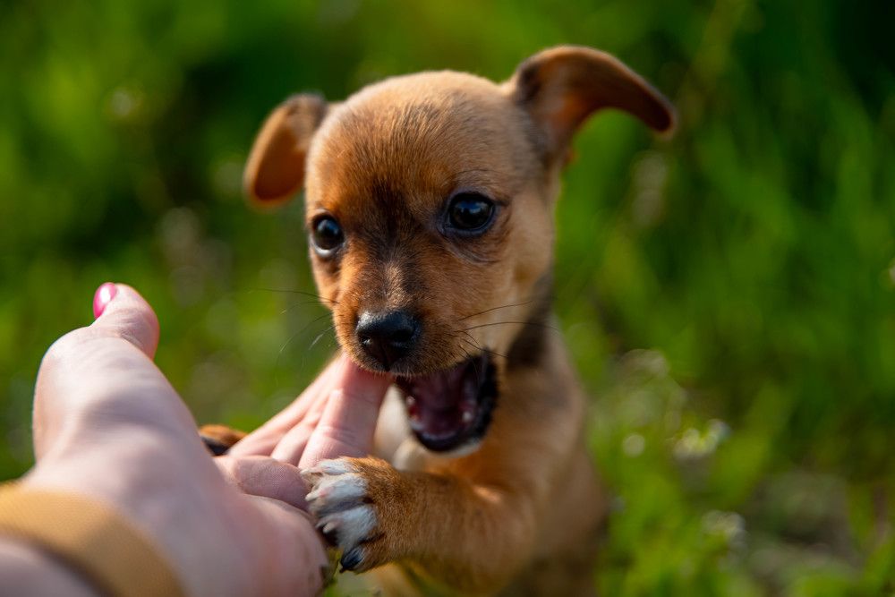 Photograph by Елена Прохорова